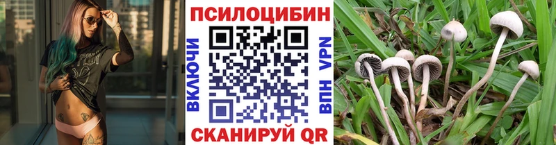 где купить   KRAKEN ONION  Галлюциногенные грибы Magic Shrooms  Липецк 